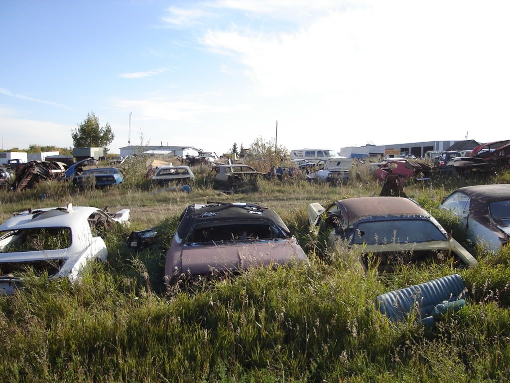 Alberta Auto Wrecker pics For A Bodies Only Mopar Forum